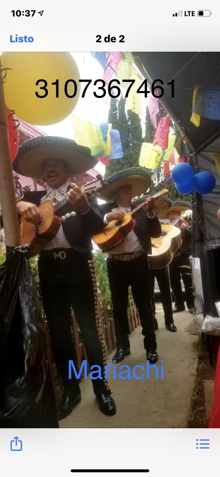 Vihuela De Mariachi