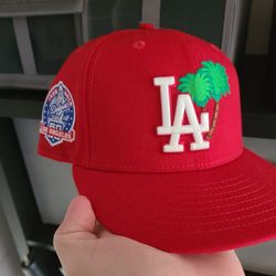 LA Fitted Hat 