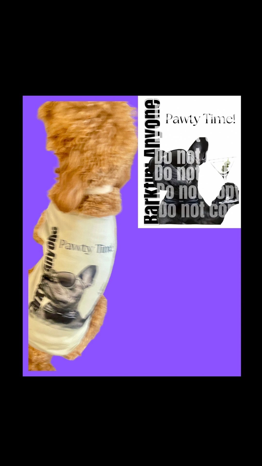Pet Pawty Time Shirt