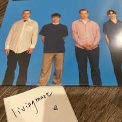 WEEZER 30 ZOETROPE Vinyl LP Geffen Limited Edition Picture Disc 2024 NEW