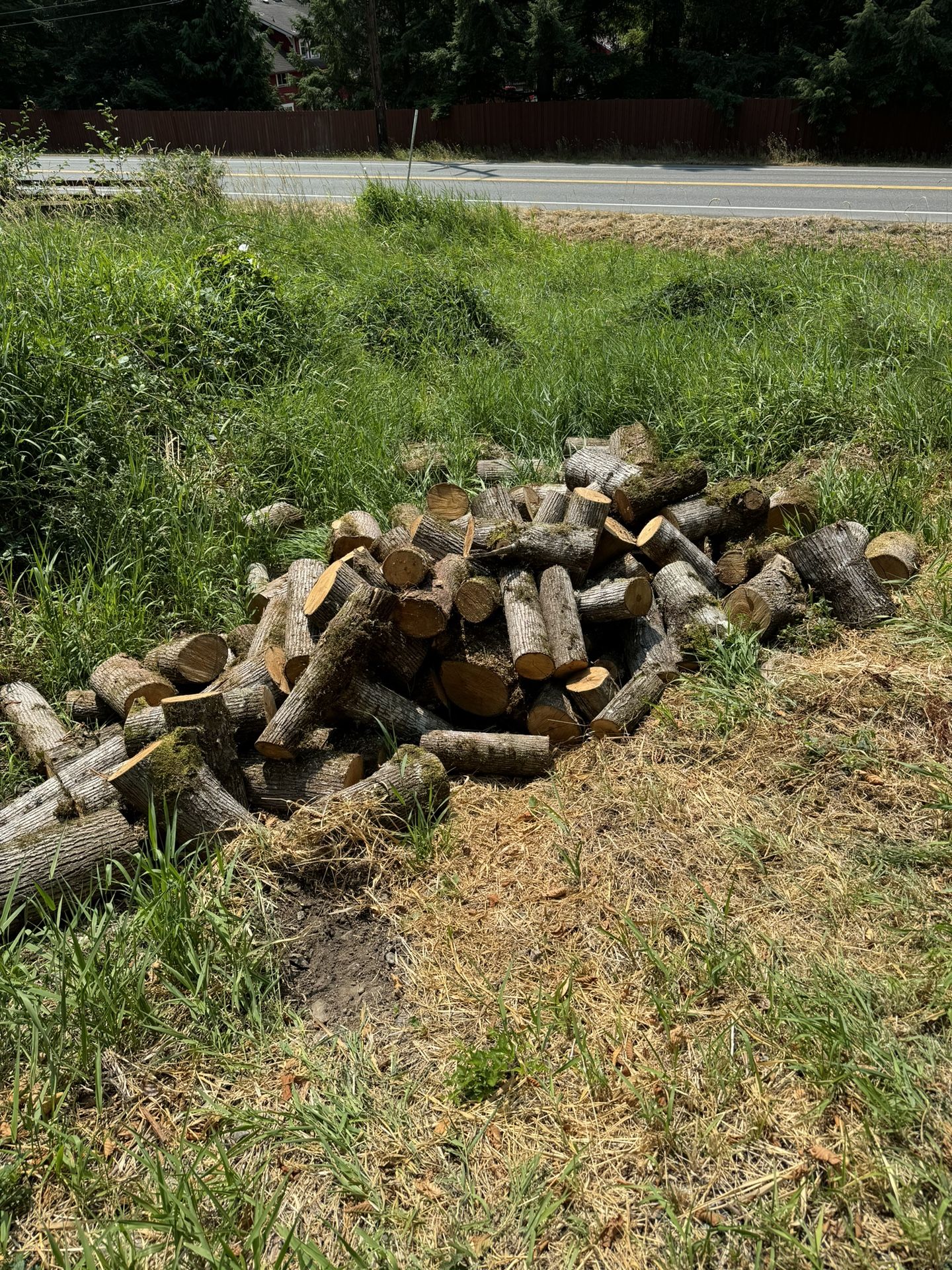 Free firewood