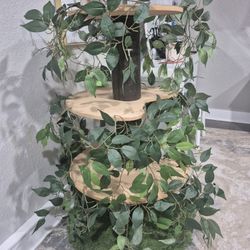 Cat Tree