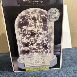 Apothecary  &  Company   Led  String  Light  Glass Cloche  Glass dome 