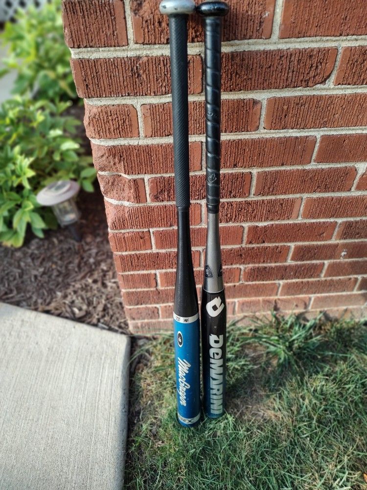 Softball Bats 34" (2)