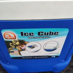 Igloo Small Cooler