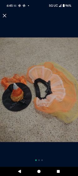 Halloween Costume For A Dog - Witch, Medium