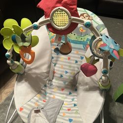 Baby Bouncer 