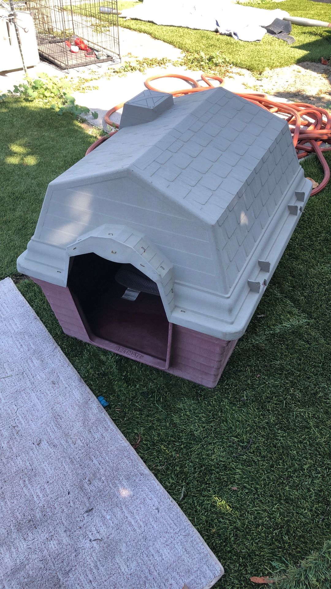 Dog House