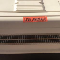 Dog Crate