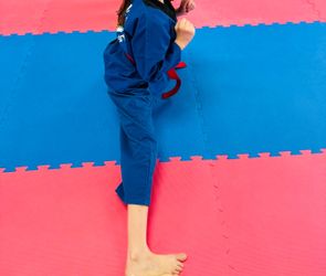 Martial Arts Puzzle Mats