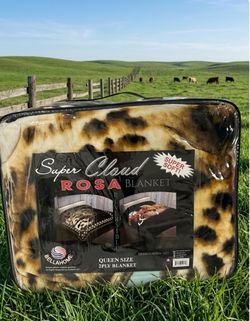 Queen size 2 play blanket.