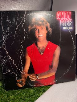 Andy Gibb After Dark Vinyl LP Record