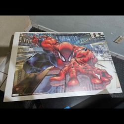 2011 Spiderman Poster