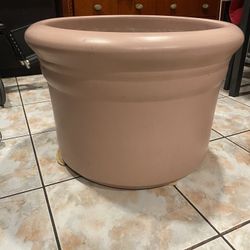 Mazeta Rosa/ Pink plant base 