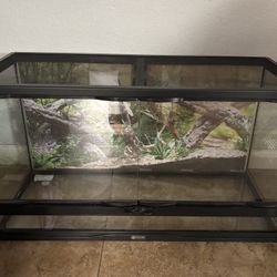 Reptile terrarium