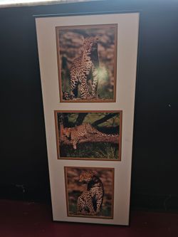 Leopard print