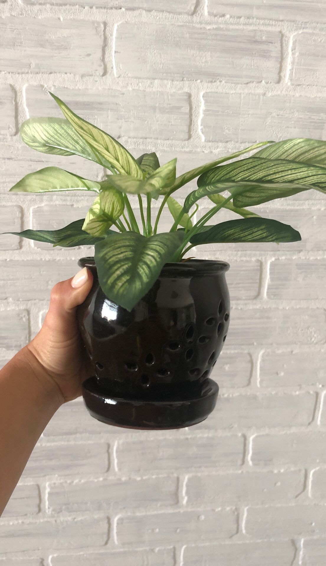 Faux Plant with Black Pot