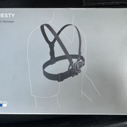 GoPro Chesty 