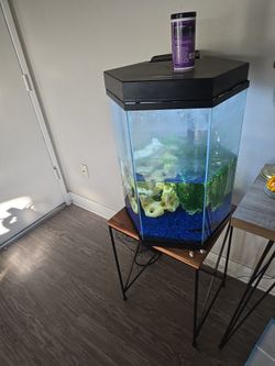 Aquarium Fish Tank