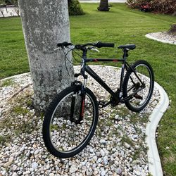 Schwinn Bike XL
