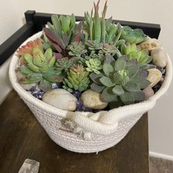 Faux Mini Succulents basket 