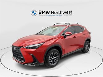 2024 Lexus NX 350