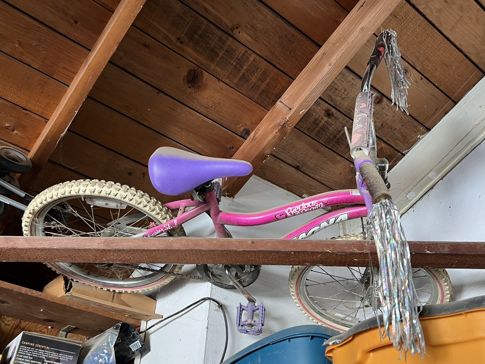 Kid Bike