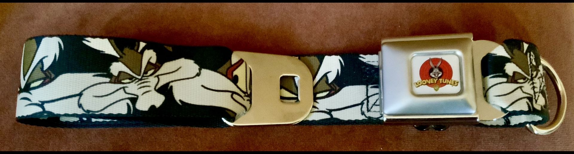 LOONEY TUNES WILE COYOTE DOG COLLAR