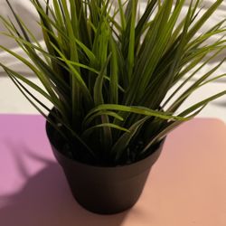 Fake Plant 