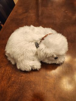 Perfect Petzzz Stuffed Animal