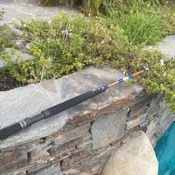 SEEKER "AMERICAN SERIES"  660XH 6'0" 40-100 lb  Saltwater Fishing Rod with Roller tip & Stripper