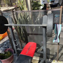 Different kinds of exercise equipment