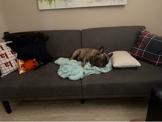 Adjustable futon