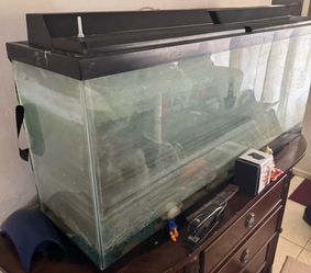 Fish Tank