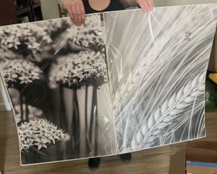 3 Posters