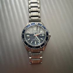 Citizen Promaster Diver Men's Eco Watch