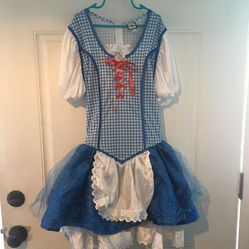 Dorothy from Wizard of Oz Dress