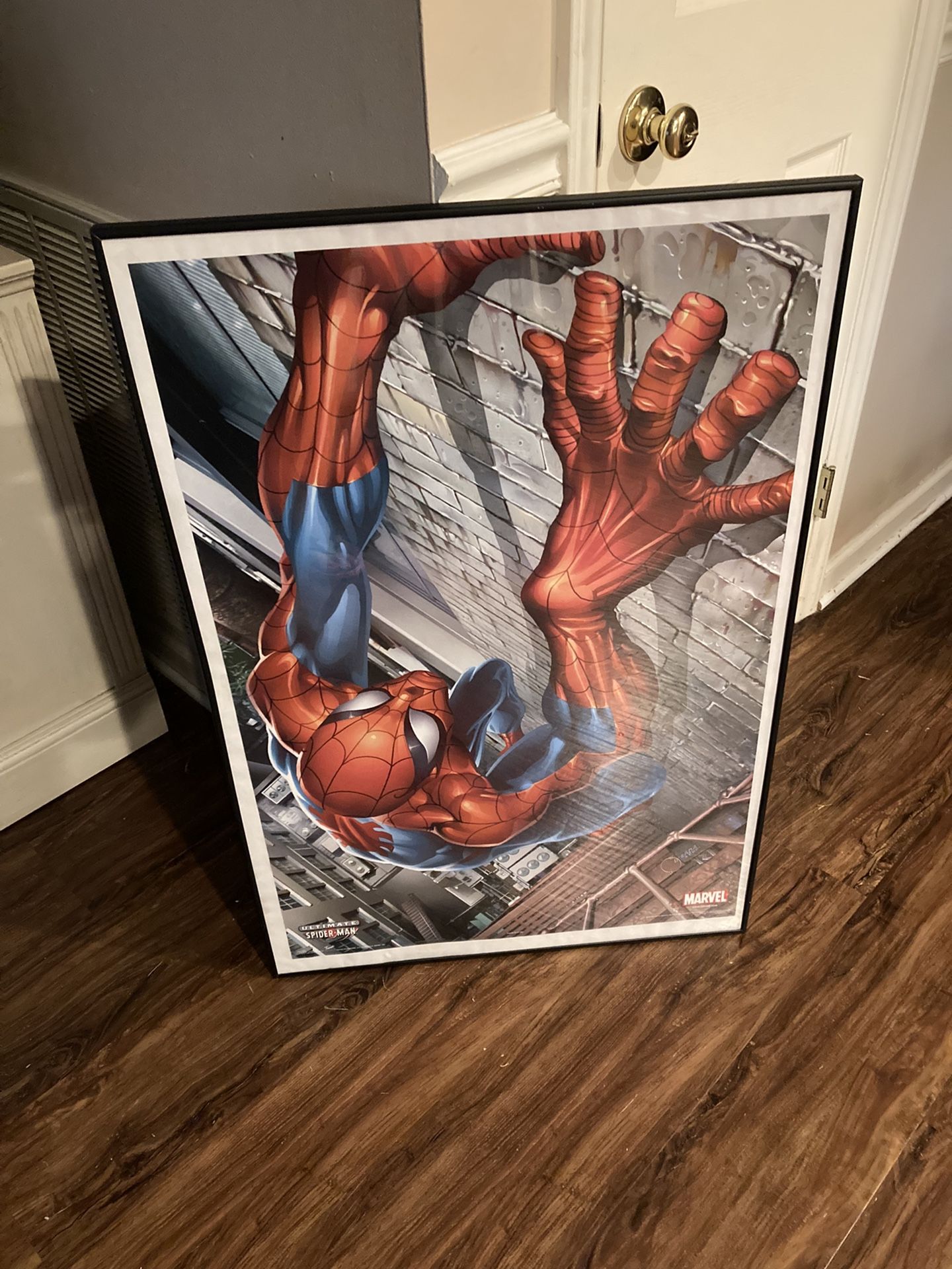 Still Available!  Spider-Man Picture