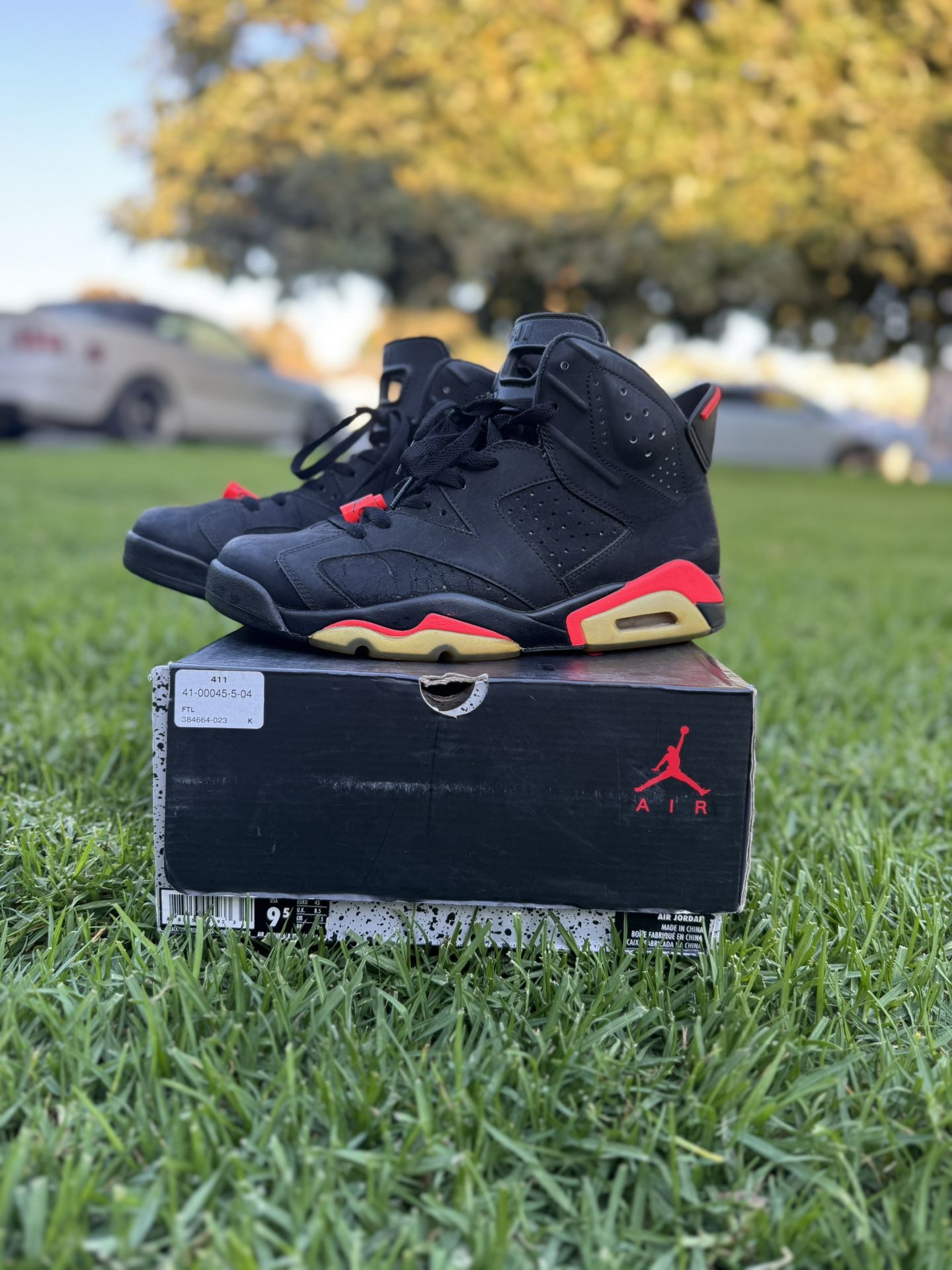 Jordan 6 Infrareds