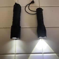 Flashlight pair