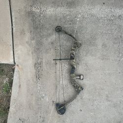 Compound Bow 