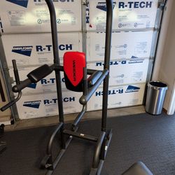 Weider Pull Up, Push-up, Abs Workout Station