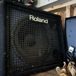 Roland Speaker 