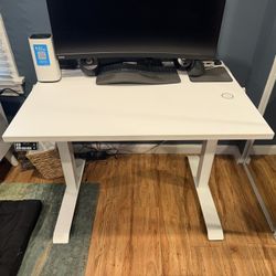 Workrite Automatic Standing/sitting desk