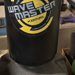 Punching Bag