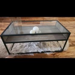 Modern center table / coffee table