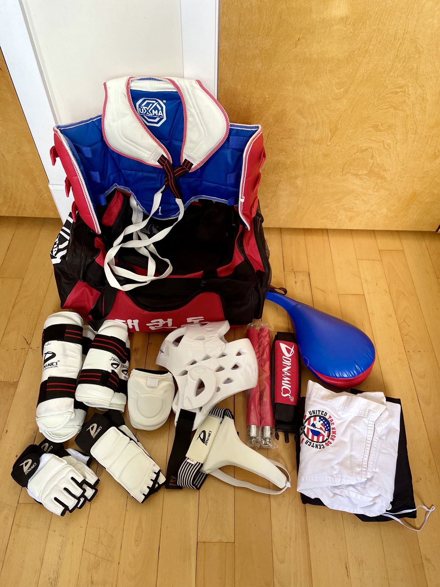 Official martial arts, taekwondo, sparring gear, equipment set.