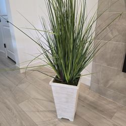 Artifical Plant 