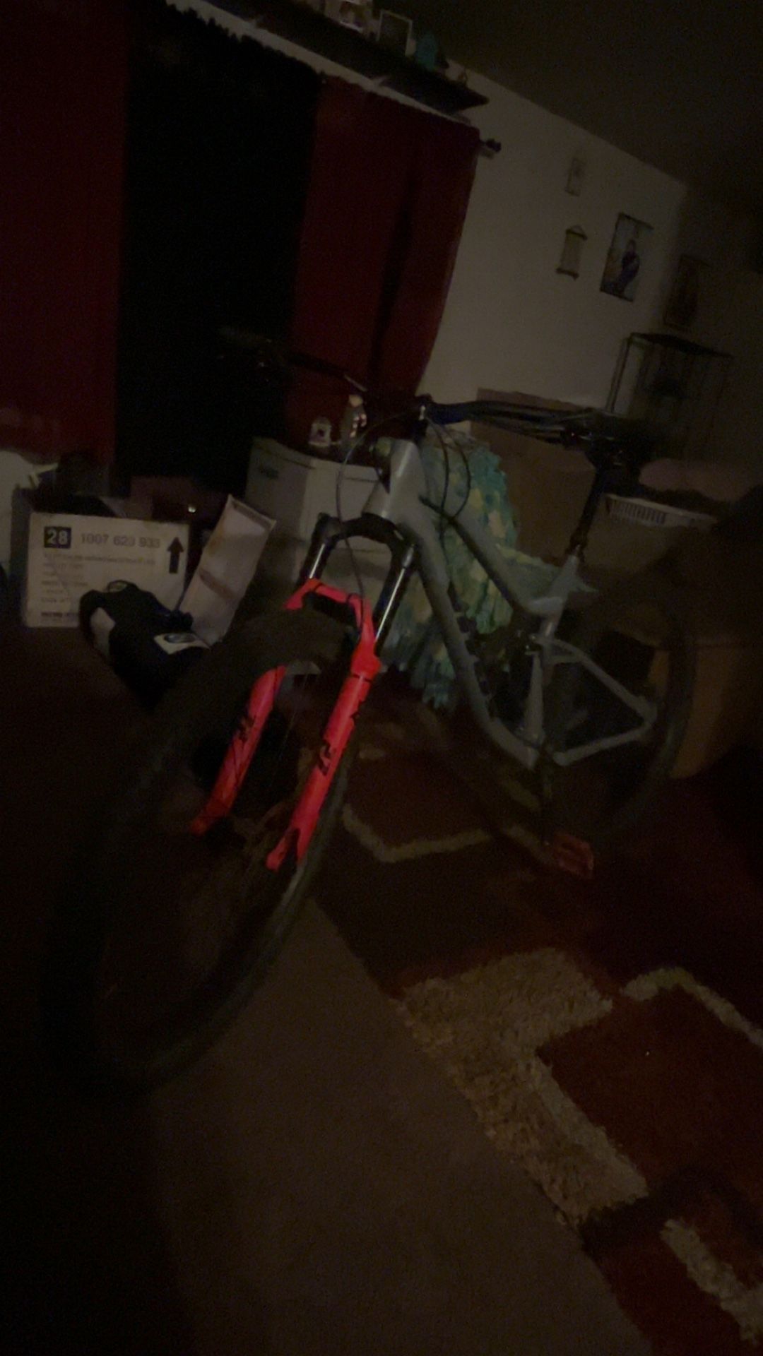 29 Inch Mountain Bike