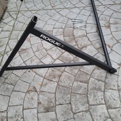 Rogue Pull Up Weight Bar 